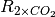 R_{2\times CO_{2}}